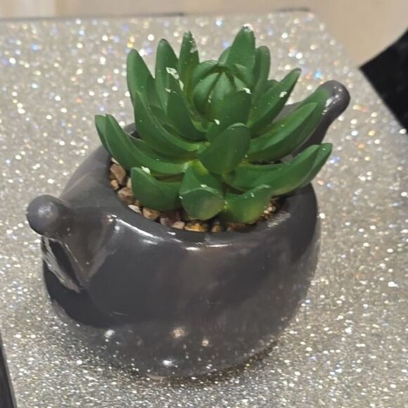 Silver Buffalo Kuromi Planter with Succulent - Picture 4 of 4